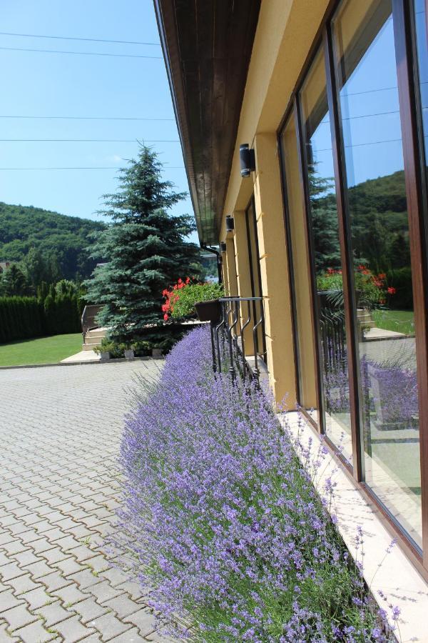 Vila Trapez Сэчеле Экстерьер фото